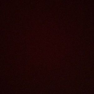 Meet your Posher, Dylan